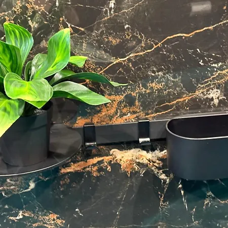 Cozy Near Botanical Garden *