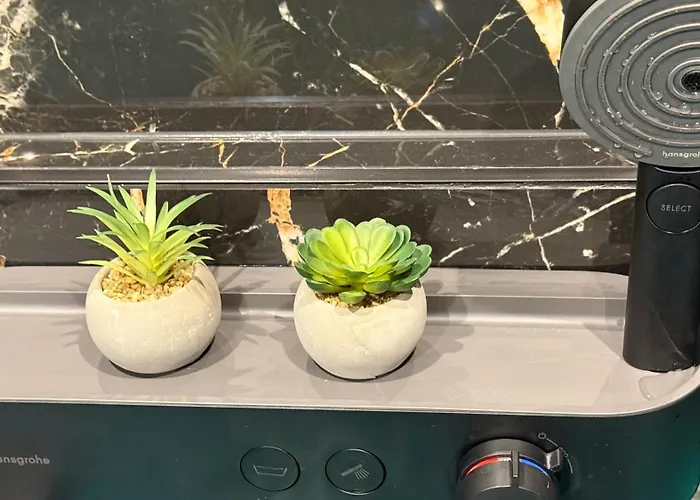 Daire Cozy Near Botanical Garden Riga